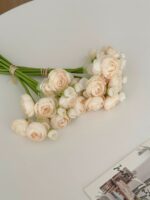 Buttercup flower - 画像 (4)