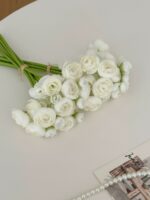 Buttercup flower - 画像 (2)